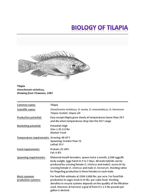 BASIC BIOLOGY OF TILAPIA - Department of Agriculture - raincitystudios.com