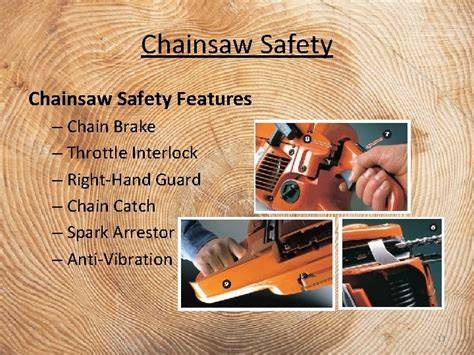Basic Chainsaw Safety & Directional Felling - SlideServe - raincitystudios.com