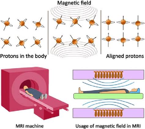 Basic concepts for nuclear magnetic resonance imaging - wintechmobiles.com