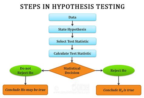 Basic Hypothesis Testing Process - Six Sigma Study … - coolestguyplanet.net