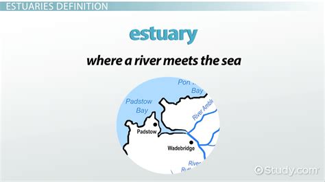 Basic Information about Estuaries | US EPA - wintechmobiles.com