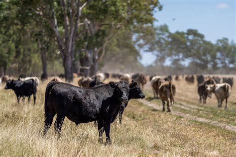 Basic landholder rights - WaterNSW - coolestguyplanet.net