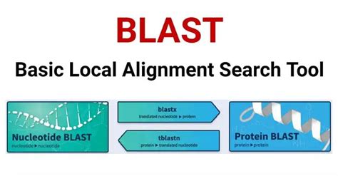Basic Local Alignment Search Tool - BLAST - coolestguyplanet.net