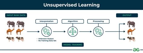 Basic of Unsupervised Learning - BINUS @Bekasi - coolestguyplanet.net