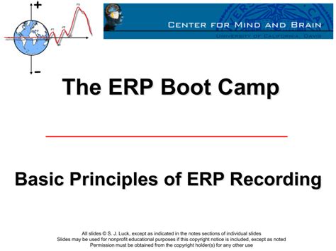 BASIC PRINCIPLES OF ERP RECORDING 1
