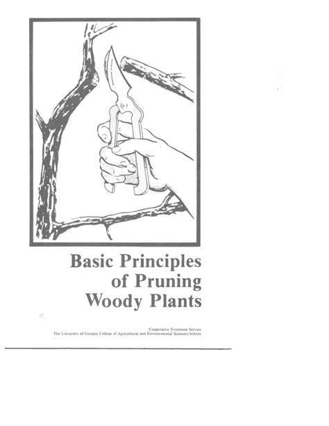 Basic Principles of Pruning Woody Plants | CAES Field … - raincitystudios.com