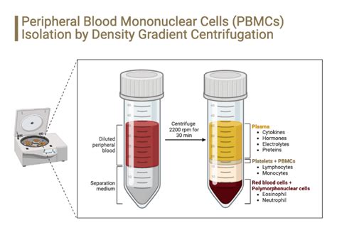 Basic Protocol For Blood Centrifugation | MBP INC - wintechmobiles.com