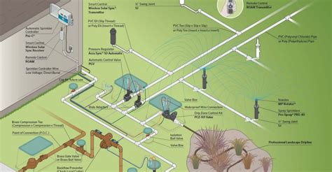 Basic Tips for Designing Efficient Irrigation Systems - raincitystudios.com