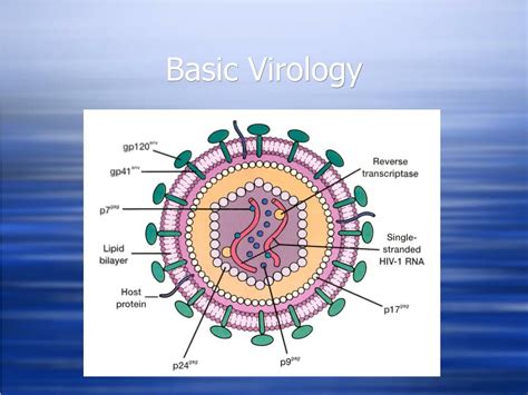 Basic Virology - PMC - muktibox.com
