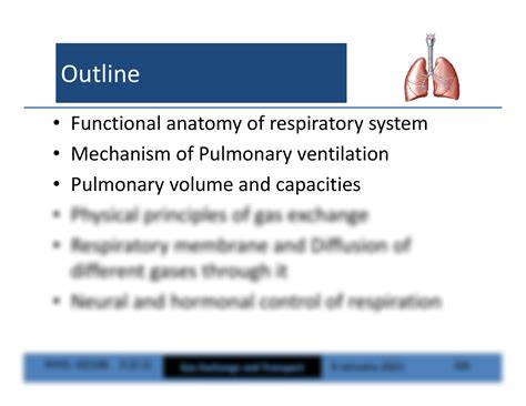 Basics of Respiratory Physiology and Approach to Respiratory Failure - muktibox.com