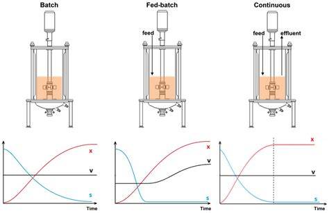 Batch and continuous pH control compared and contrasted - raincitystudios.com