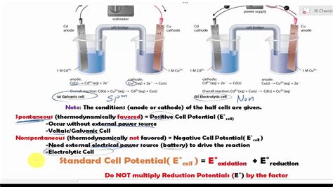 Batteries (cells with spontaneous redox reactions) - wintechmobiles.com