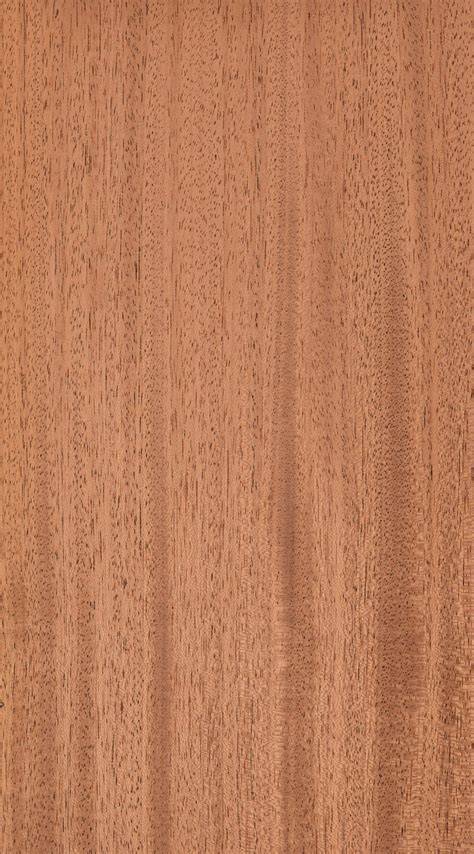 Battle for Brazilian mahogany: One of the world's most beautiful woods ... - raincitystudios.com
