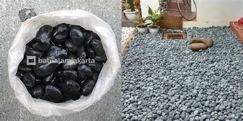 Batu koral - Wikipedia bahasa Indonesia, ensiklopedia bebas - wintechmobiles.com