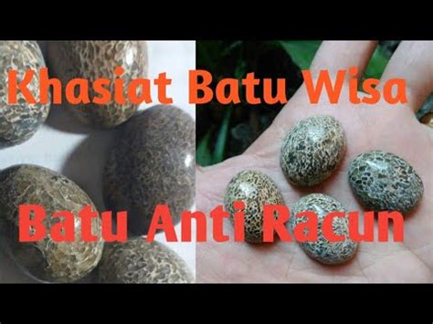 batu wisa - elchoricharrua.com