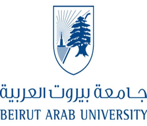 BAU - Beirut Arab University Final Exam