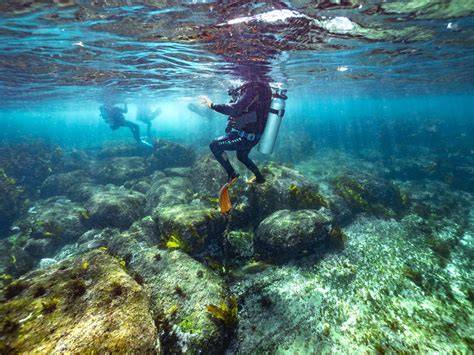 Bay Underwater - Dredging Marine Salvage - raincitystudios.com