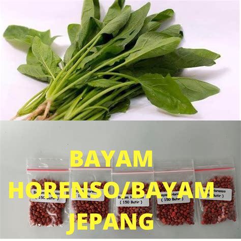 BAYAM JEPANG SMA abg & porn Korea eksklusif simak cerita seks selama defrag storage creampie terpanas diputar event pemutaran spesial IMAX 244 image 1