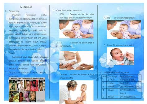 bayi mendapat imunisasi dasar lengkap - elchoricharrua.com
