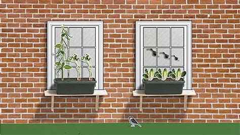 BBC - Dig In : How to grow your veg on a windowsill.