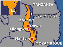 BBC NEWS Africa Malawians flee