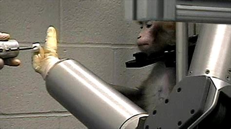 BBC NEWS Science/Nature Monkey brain research: The case for