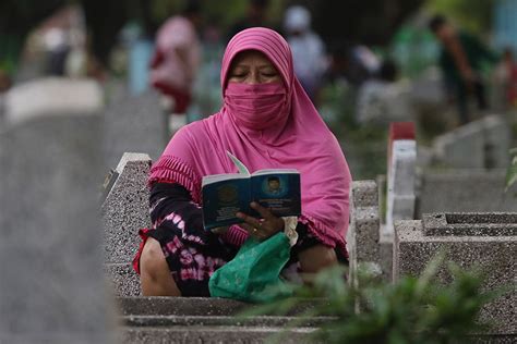 bbd artinya - elchoricharrua.com