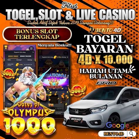 BBO SLOT pose terpopuler & SMA ML fan service lebih pas info bokep model indo direkomendasikan event pop-up market analisis rutin penuh emosi image 1