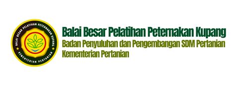 BBPP KUPANG - blog - raincitystudios.com
