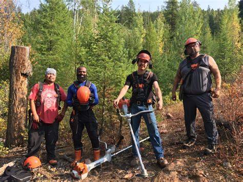 BC Woodlot Management: - University of British Columbia - raincitystudios.com