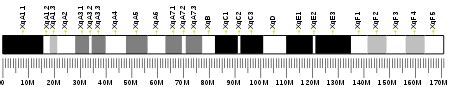 BCAP31 - Wikipedia