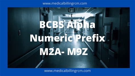 BCBS Alpha Numeric Prefix from M2A to M9Z (Updated 2024)