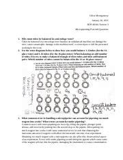 BCH 2 MONTGOMERY 1.pdf - Rapid Colony Transformation of E.coli … - muktibox.com