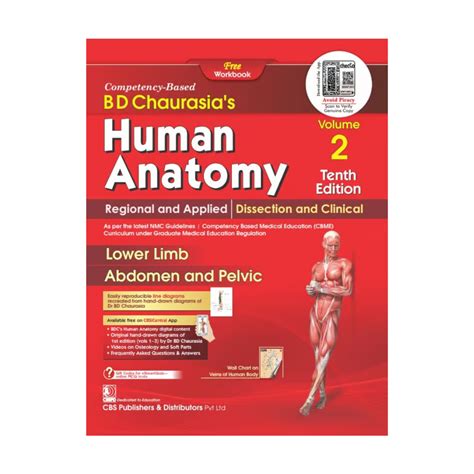 BD Chaurasia&rsquo;s Human Anatomy, Volume 2 -
