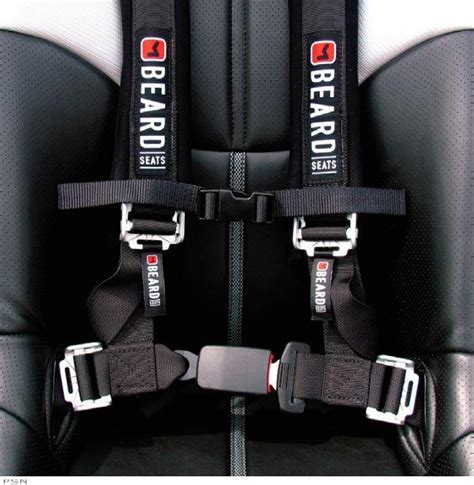 Beard 4-Point Safety Harness with Automotive Buckle - raincitystudios.com