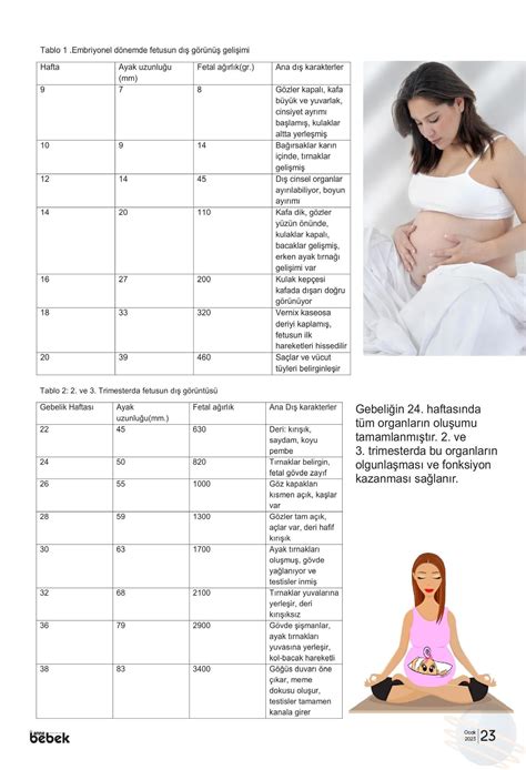 codini.rgarabwor.edu.pl. 