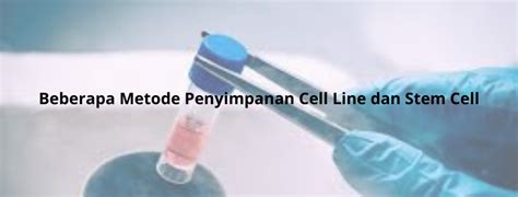 Beberapa Metode Penyimpanan Cell Line dan Stem Cell - wintechmobiles.com