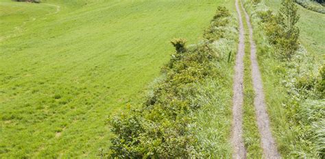 Become a Signatory - SAGindie - muktibox.com