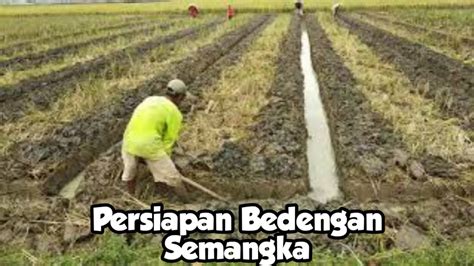 Bedengan Semangka - raincitystudios.com