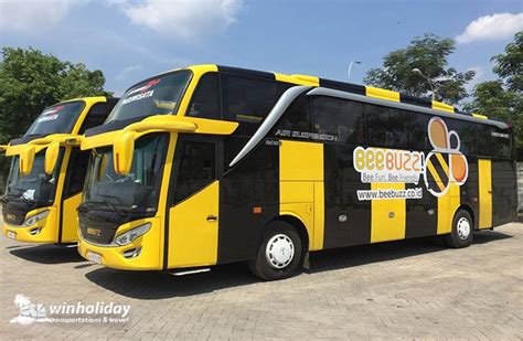 bee bus harga - elchoricharrua.com