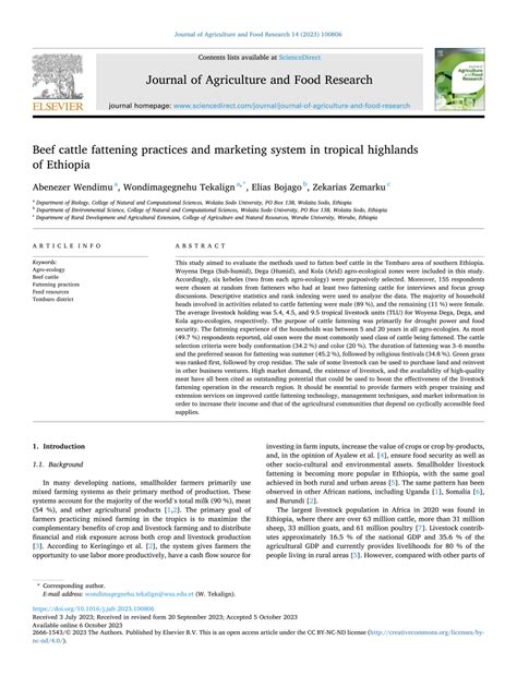 Beef cattle fattening practices and marketing system in tropical ... - raincitystudios.com