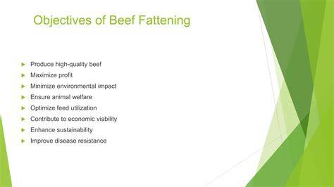 Beef Fattening: 7 Steps to Maximize Yield & Profit! - raincitystudios.com