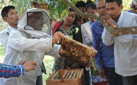 Beekeeping in Nepal - muktibox.com