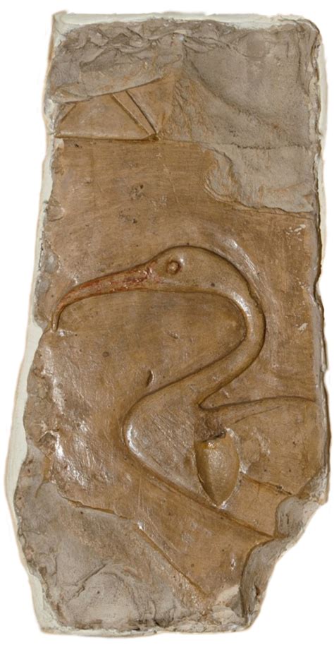 Before and After Conservation Treatment - Smithsonian … - muktibox.com