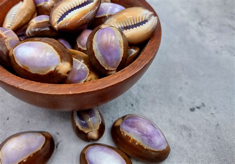 Before modern currency systems, many African societies used cowrie ... - wintechmobiles.com