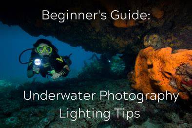 Beginner's Guide: Underwater Photography Lighting Tips - raincitystudios.com