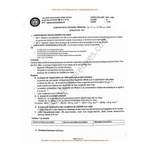 Beginner's Guide to Calligraphy Flourishing | PDF - muktibox.com