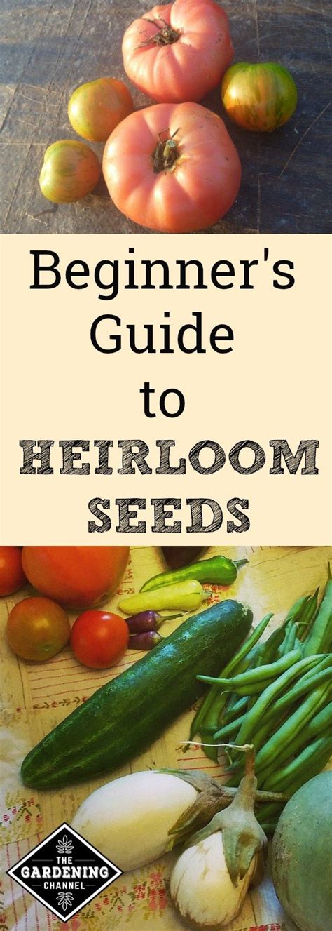 Beginner’s Guide to Heirloom Seeds - Gardening Channel - raincitystudios.com