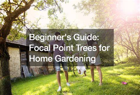 Beginners Guide: Focal Point Trees for Home Gardening - raincitystudios.com