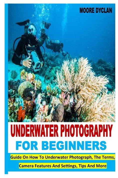 Beginners Guide to Underwater Photography - raincitystudios.com